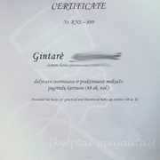 Makiažo sertifikatas Makiažo sertifikatas
